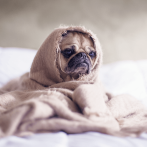 coping strategies for stress management